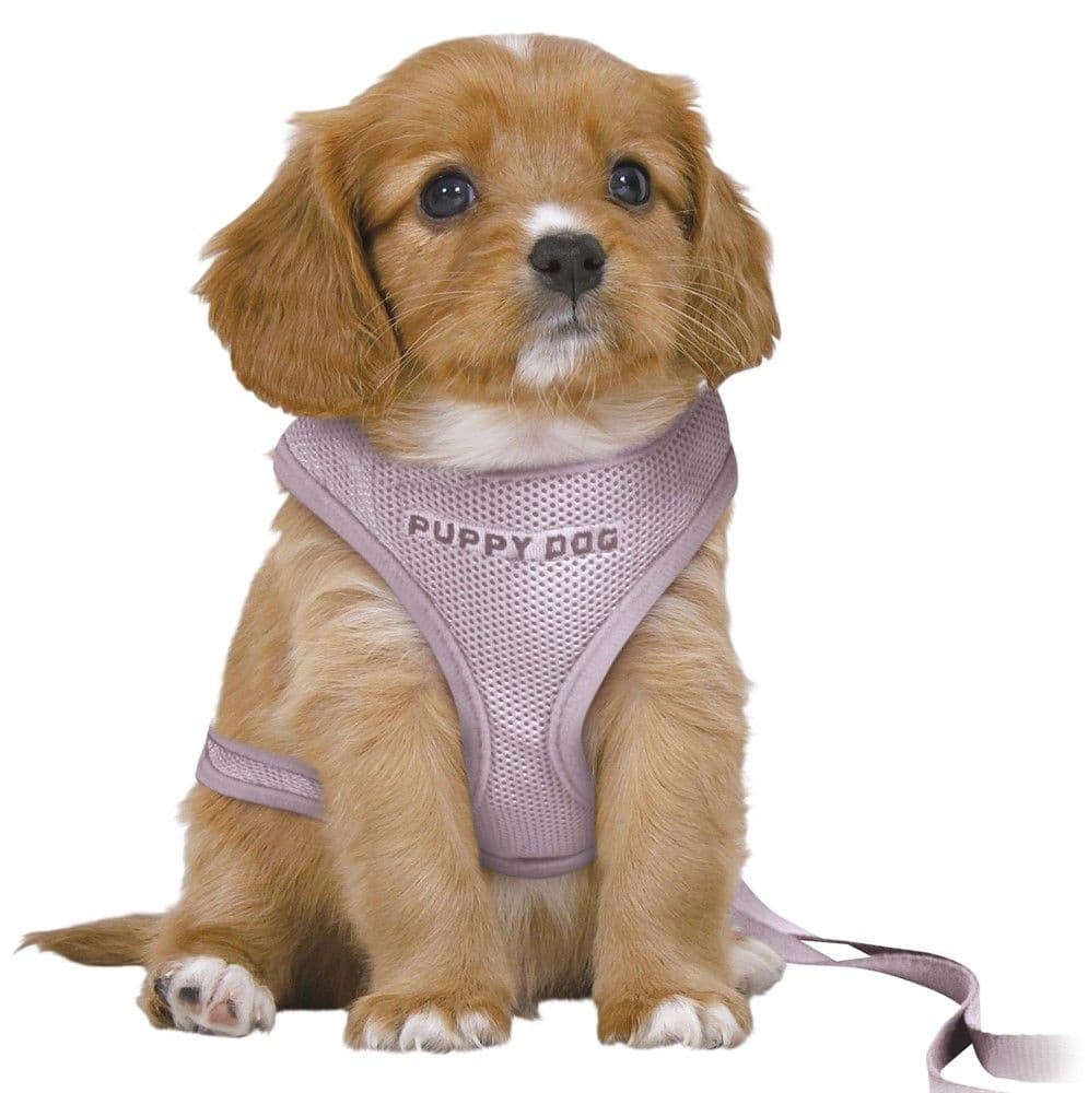 Junior Myk Sele m. Kobbel M-L Lys lilla, view: 2