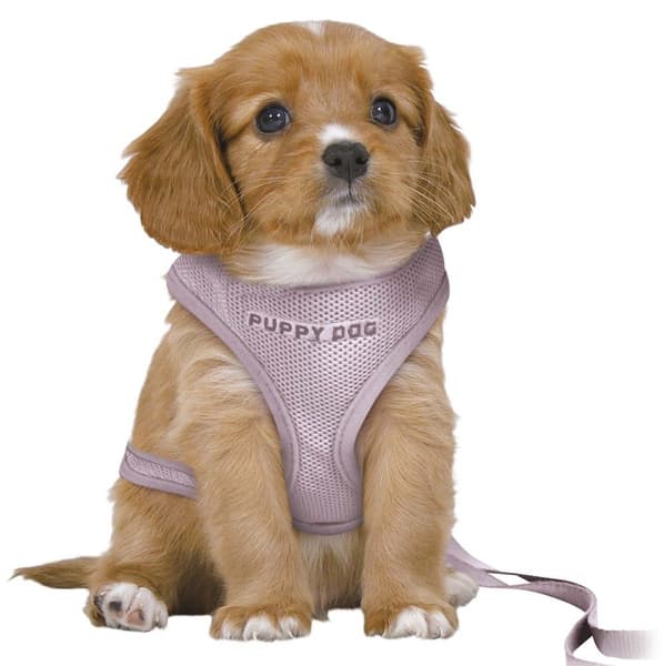 Junior Myk Sele m. Kobbel M-L Lys lilla, view: 2