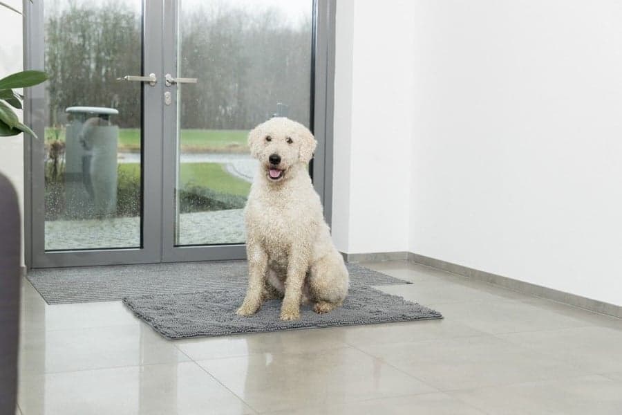 Smussabsorberende Matte 60 × 50 cm Grå, view: 3