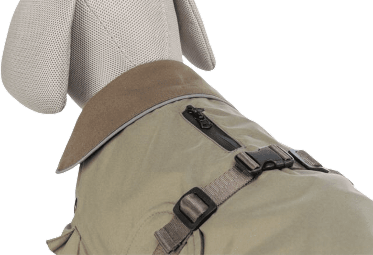 Hermy 2 in 1 Dachshund Olive Green 43 cm, view: 1