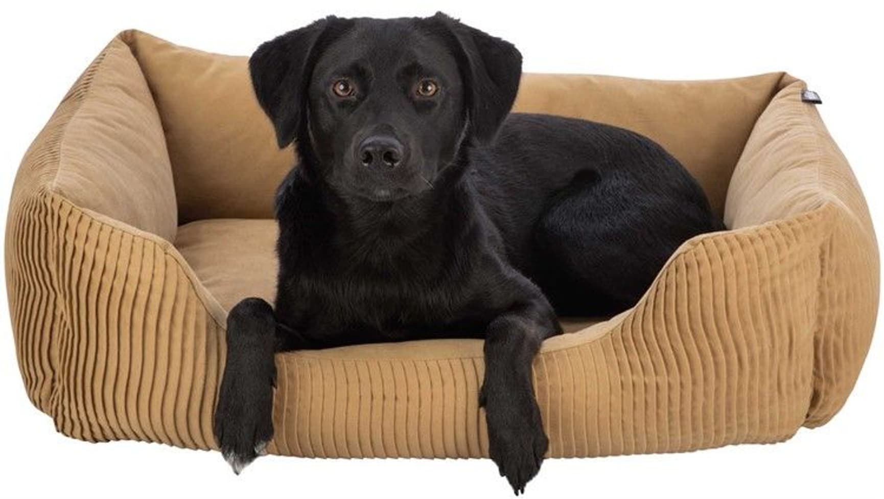 Marley Bädd Rektangulär 60x50 cm Ochre, view: 2