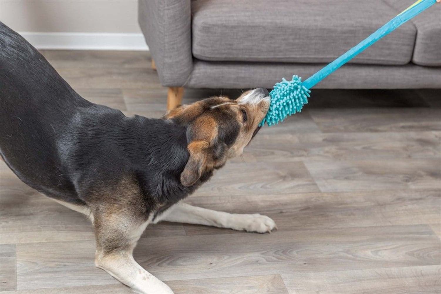 Bungee Dummy Polyester 20 cm/47 cm, view: 2