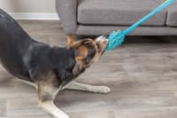 Bungee Dummy Polyester 20 cm/47 cm - view: 2