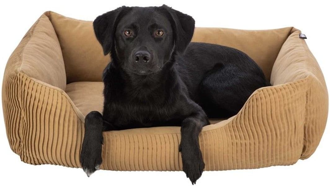 Marley Bädd Rektangulär 80x60 cm Ochre, view: 2