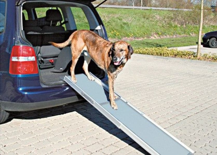 Ramp Petwalk Teleskopisk 43X100-183 cm Grå, view: 0
