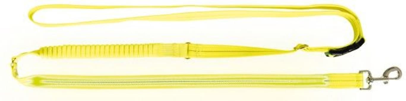 Flash Joggingkoppel Usb S-Xl: 1.85-2.55 M/25 mm Neon, view: 0
