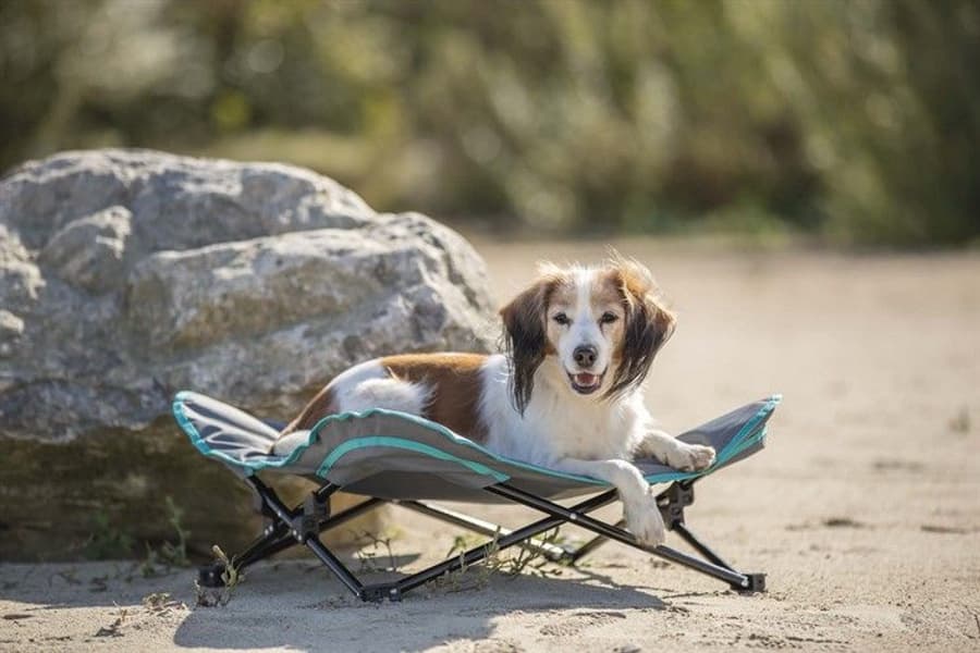 Campingseng 69x20x69 cm Mørk grå/Petrol, view: 9