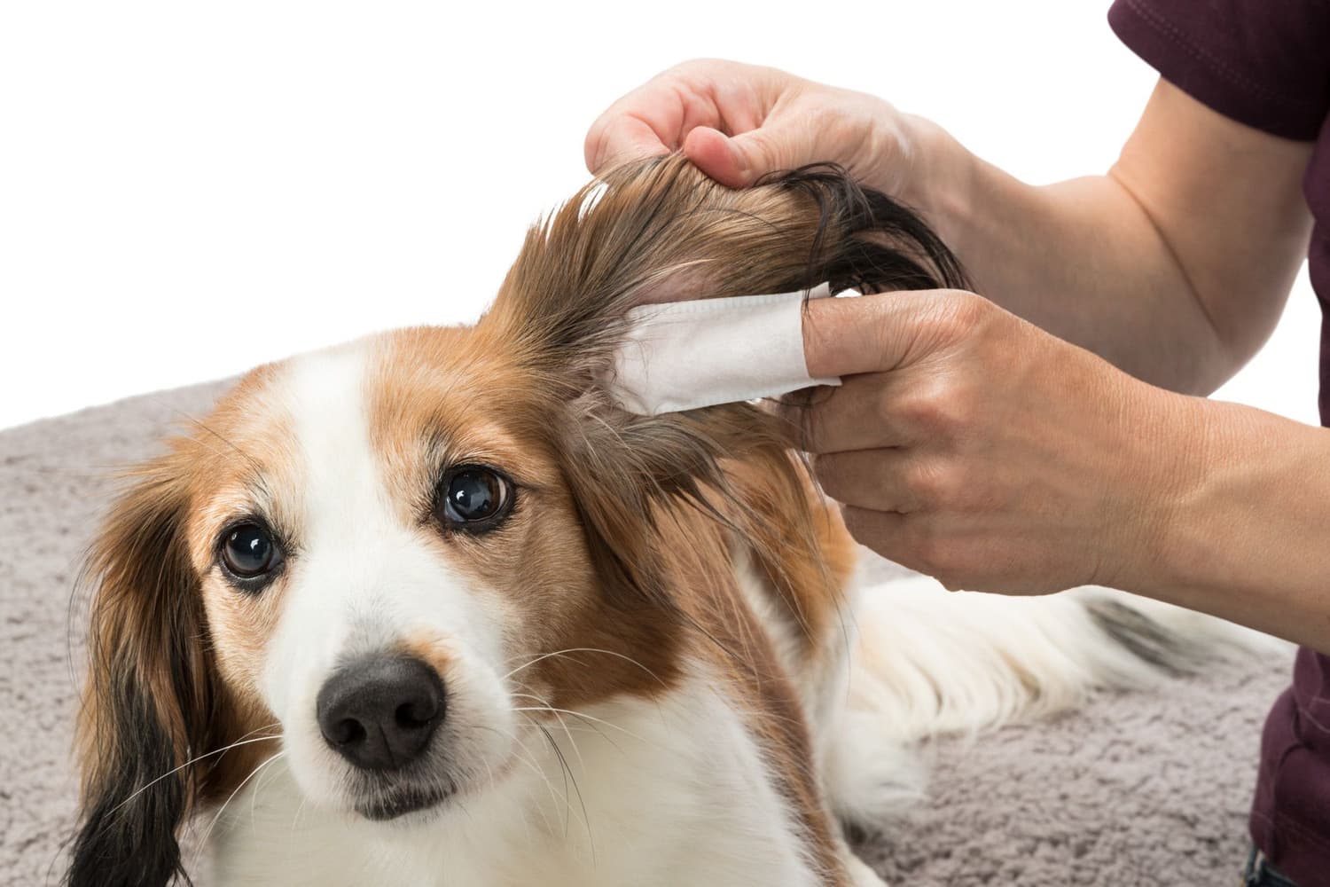 Fingerpads Aloe Vera För Öronvård 50 St, view: 1