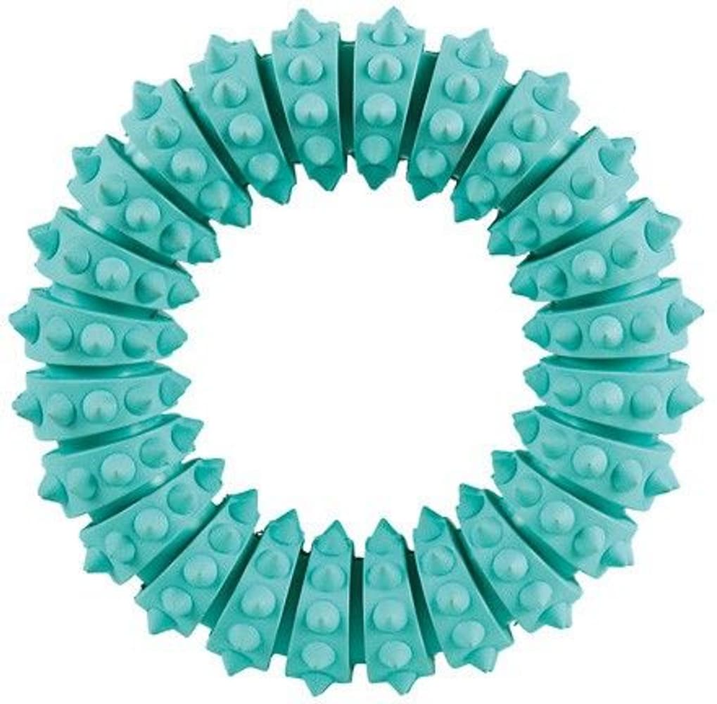 Denta Fun Ring Mintfresh Naturgummi Ø 12 cm, view: 0