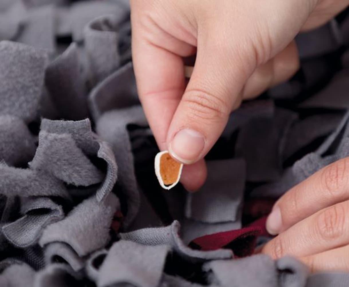 Aktivitetsfilt "Sniffing Carpet"" 50×34 cm, view: 1