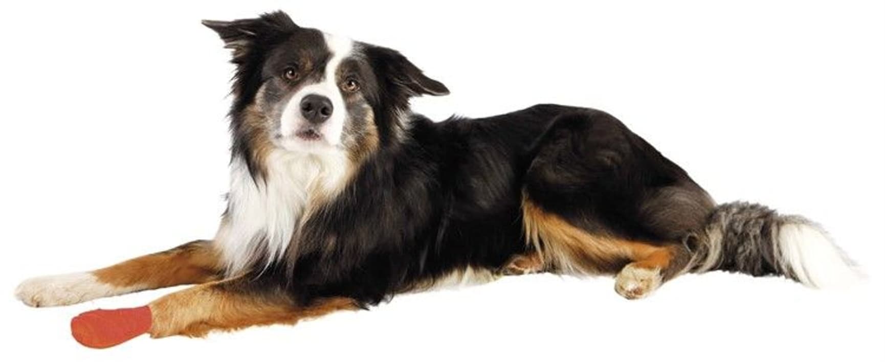 Bandasje Selvklebrig 5 cm/4,5 m 4-pakning, view: 4