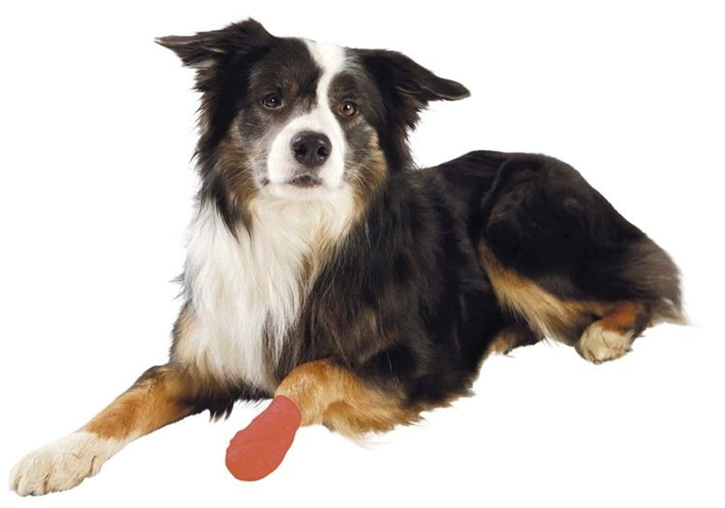 Bandasje Selvklebrig 5 cm/4,5 m 4-pakning, view: 3