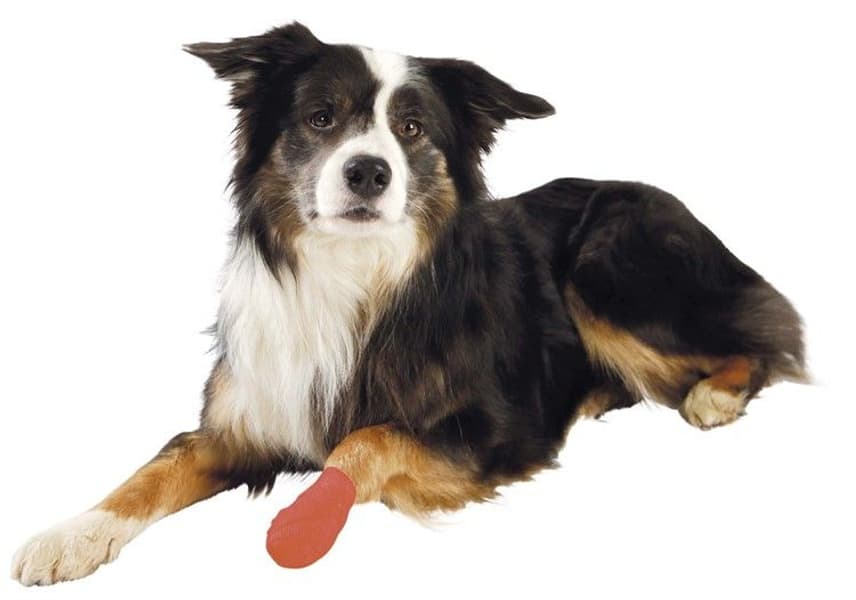 Bandasje Selvklebrig 5 cm/4,5 m 4-pakning, view: 3