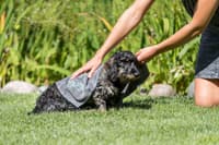 Hund- & Katt håndkle Microfiber Top-Fix 50x60 cm - view: 1