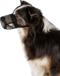 Poisoned Bait Protection L svart - view: 1