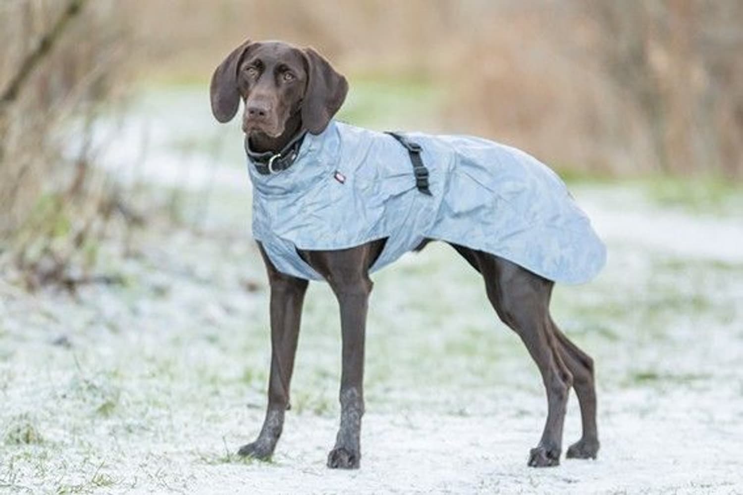 Lunas Regndekken Helrefleks Silverblå 25-33cm, view: 3