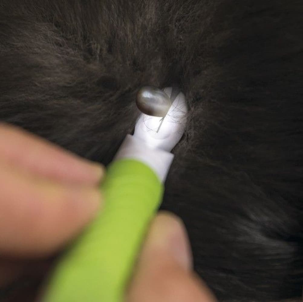 Flåttfjerner Penn med Led Belysning 14 cm, view: 3