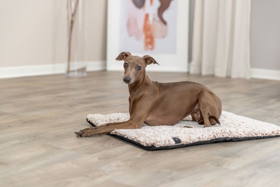 Calida varmereflekterende liggeteppe 80 x 55 cm, view: 8