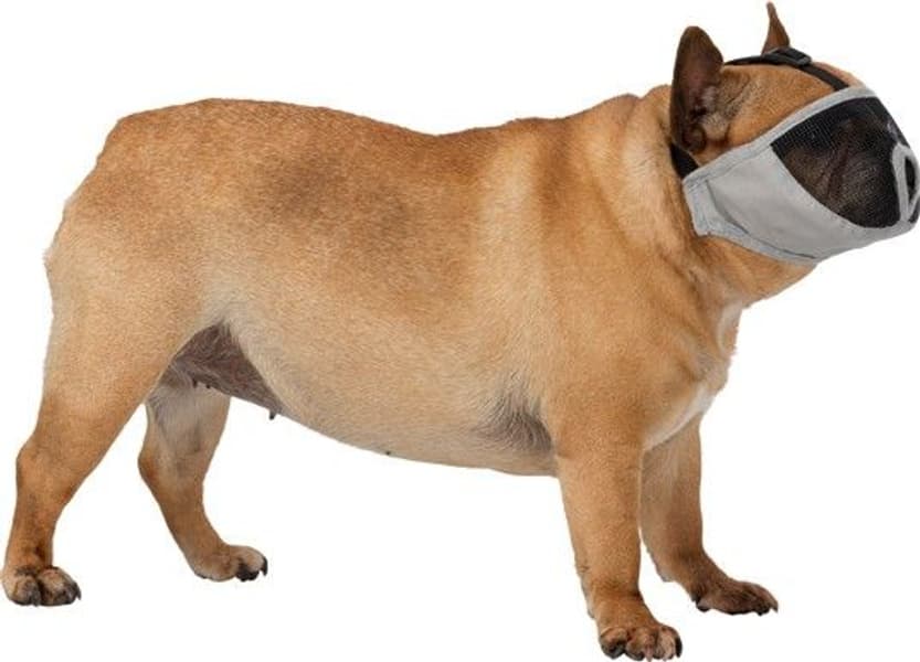 Munnkurv For Kortneset Hund Polyester S: 20 cm Grå, view: 1