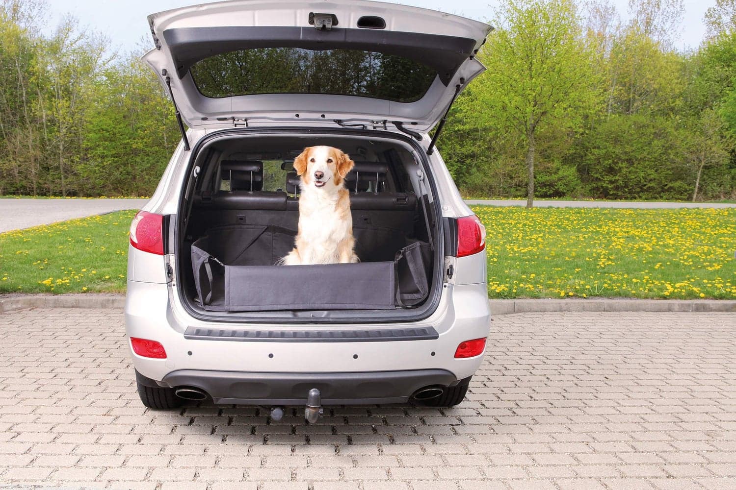 Beskyttelse for lasterom/støtfanger på bil 164X125 cm, view: 1