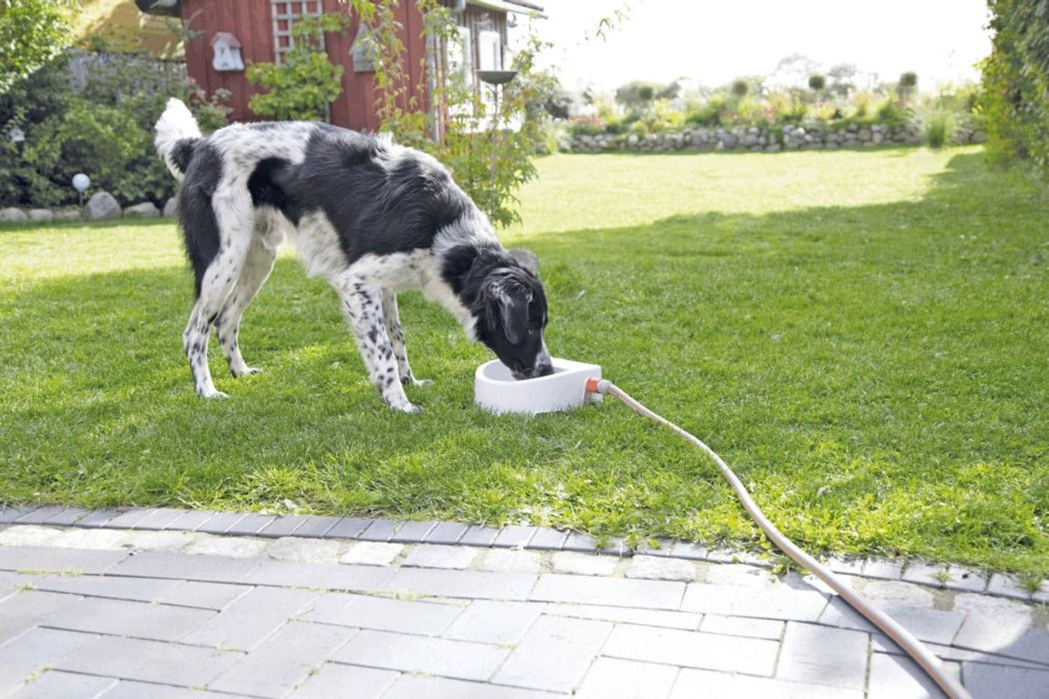 Vanndispenser for Hageslange 1.5 l 24 × 10 × 23 cm, view: 3