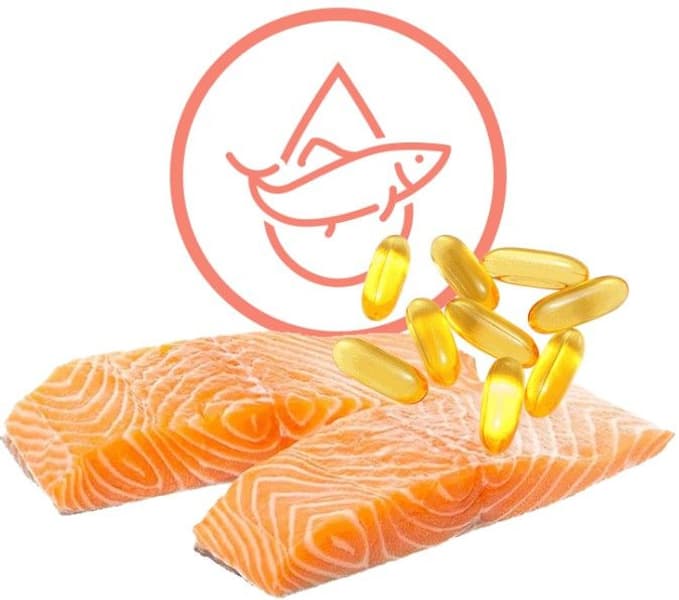 Dog Treats Skin & Coat 50 g, view: 2