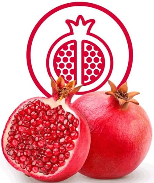 Dog Treats Skin & Coat 50 g, view: 3