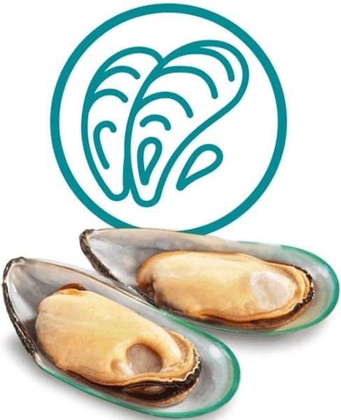 Dog Treats Hip & Joint 50 g, view: 3