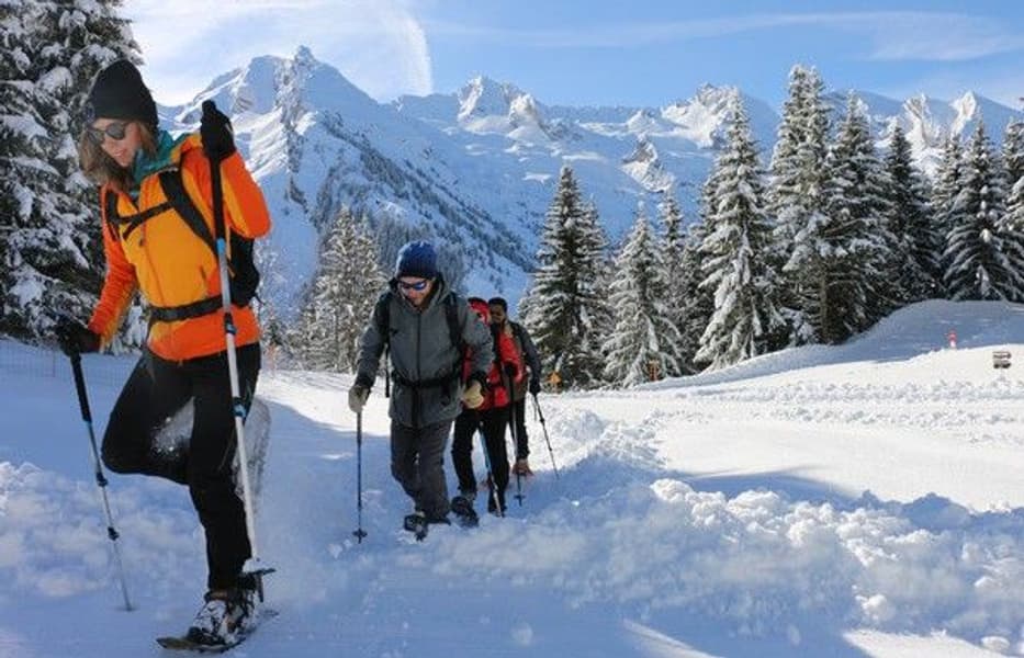 TSL 305 Initial Apricot, view: 3