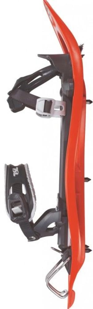 TSL 305 Elevation Goyave, view: 1