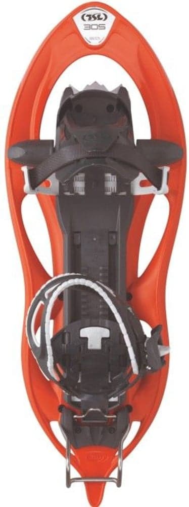 TSL 305 Elevation Goyave, view: 0