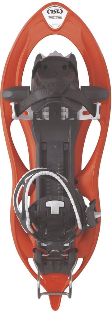 TSL 305 Halloween Elevation, view: 0