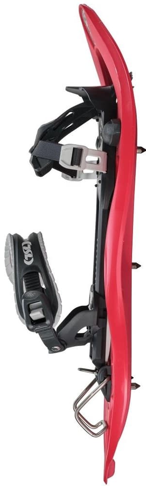 TSL 305 Halloween Elevation, view: 1