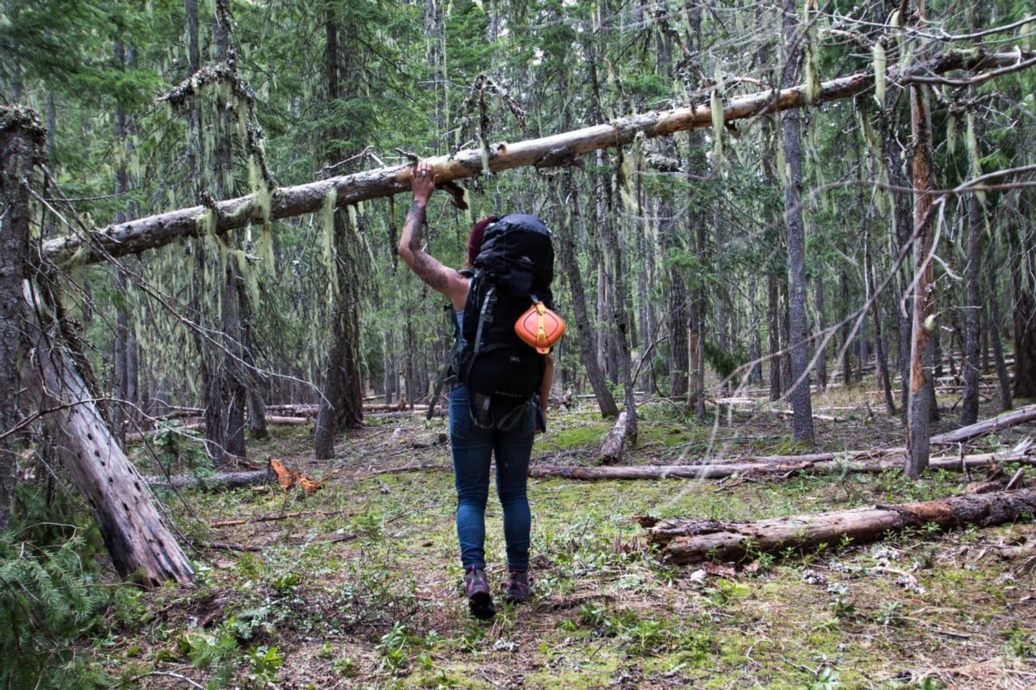 Mess Kit 6 Pieces Retro Sunrise, view: 5