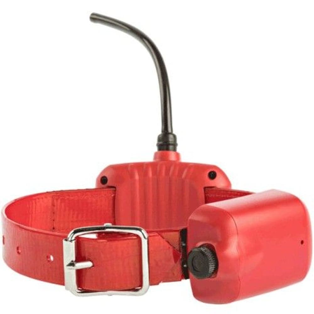 Hund-GPS L4 Halsbånd Large, view: 0