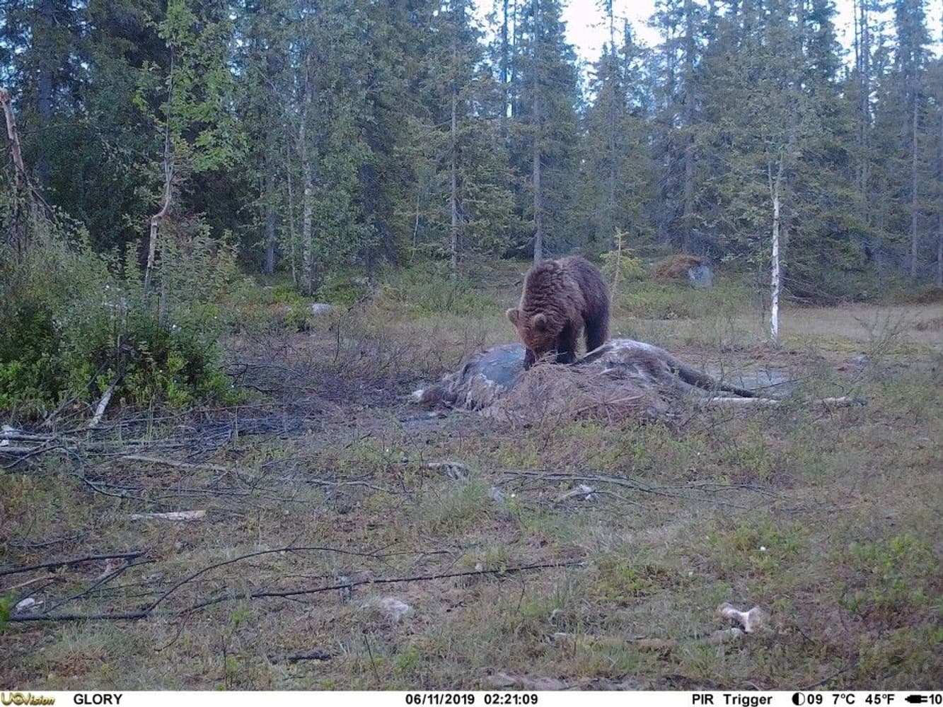 UOVision Glory 4G LTE Cloud APP - Vilt- og overvåkningskamera, view: 4