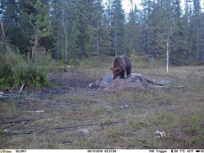 UOVision Glory 4G LTE Cloud APP - Vilt- og overvåkningskamera, view: 4