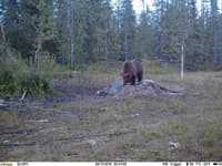 UOVision Glory 4G LTE Cloud APP - Vilt- og overvåkningskamera - view: 4