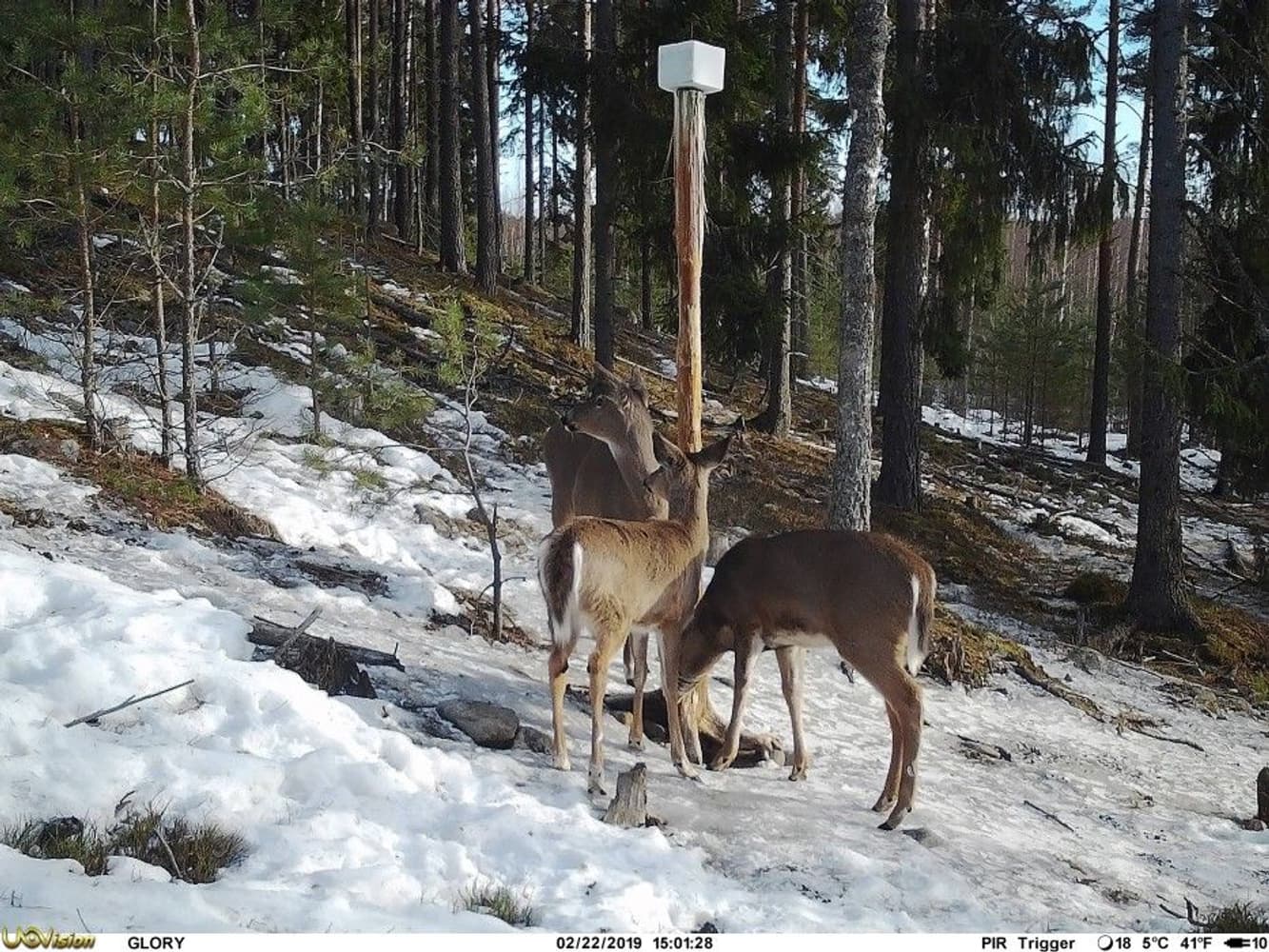 UOVision Glory 4G LTE Cloud APP - Vilt- og overvåkningskamera, view: 3