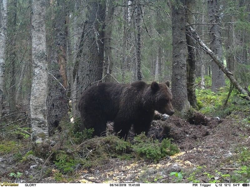 UOVision Glory 4G LTE Cloud APP - Vilt- og overvåkningskamera, view: 6