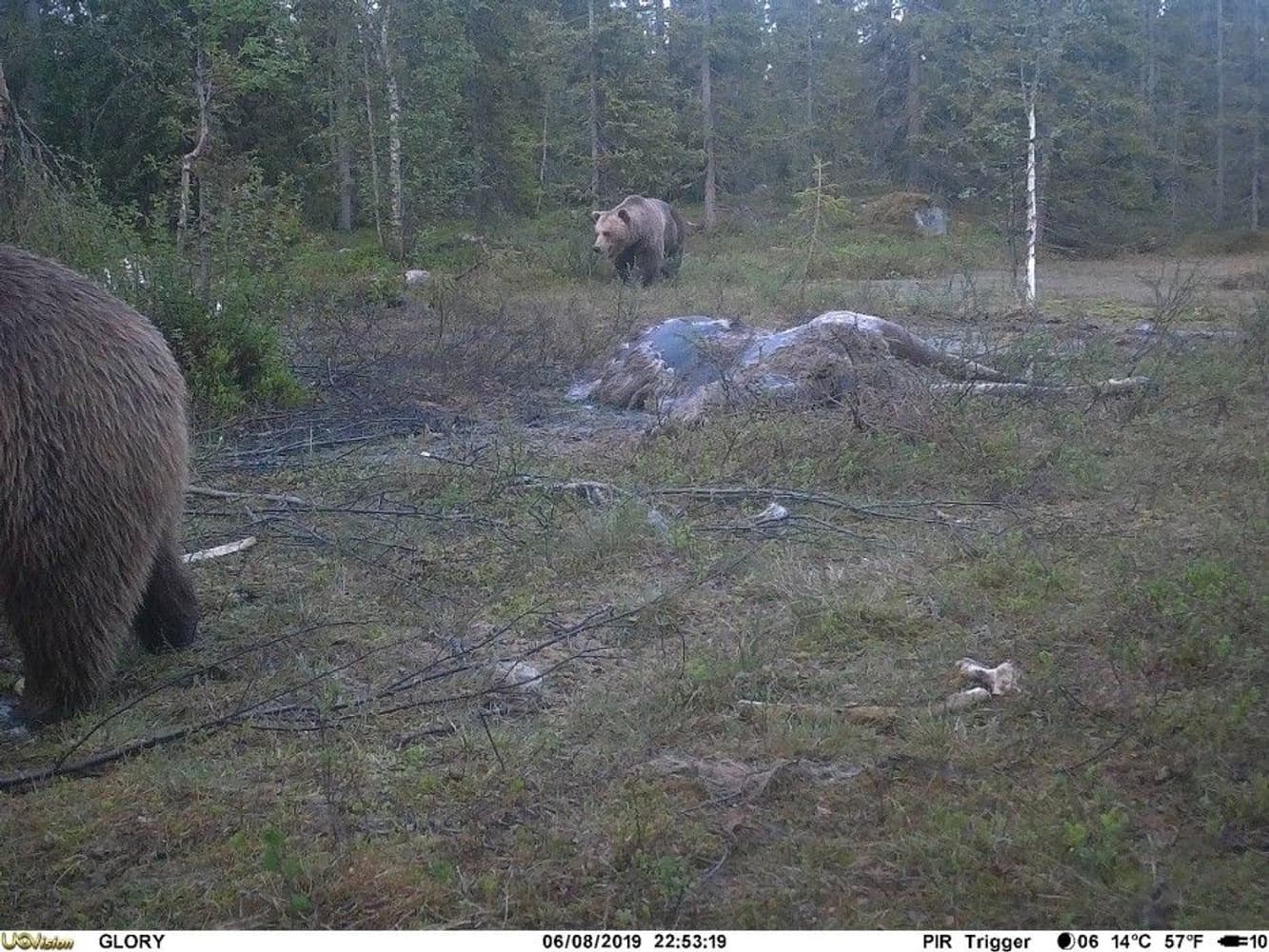 UOVision Glory 4G LTE Cloud APP - Vilt- og overvåkningskamera, view: 5