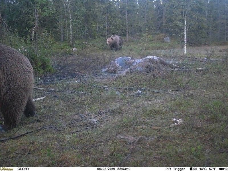 UOVision Glory 4G LTE Cloud APP - Vilt- og overvåkningskamera, view: 5