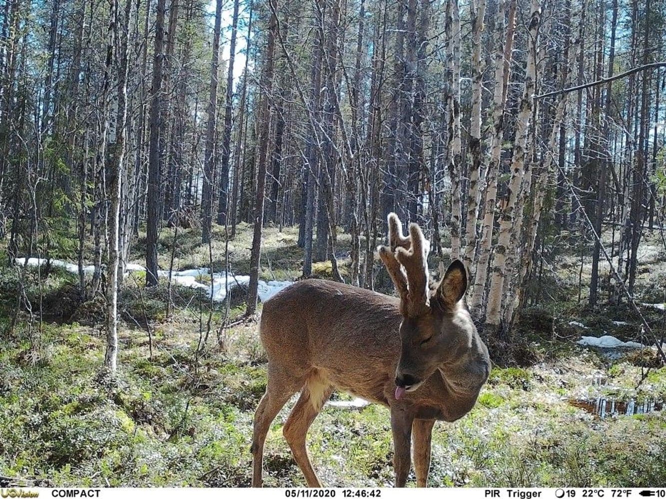 UOVision Compact LTE/4G 20MP Cloud, view: 3