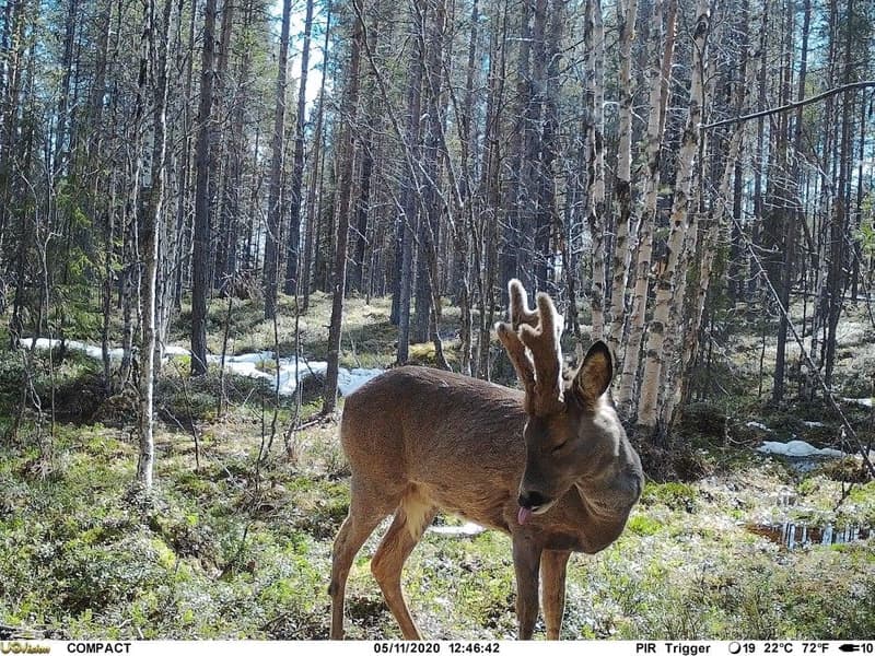 UOVision Compact  LTE/4G 20MP Cloud, view: 3