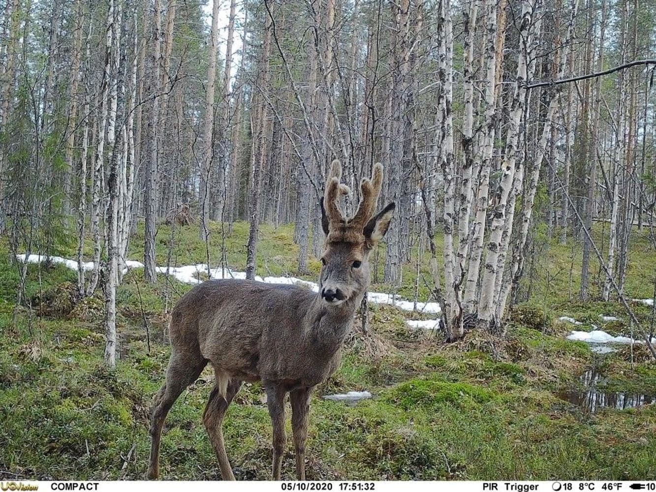 UOVision Compact LTE/4G 20MP Cloud, view: 4