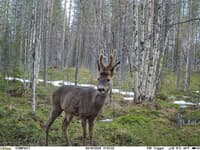 UOVision Compact  LTE/4G 20MP Cloud - view: 4