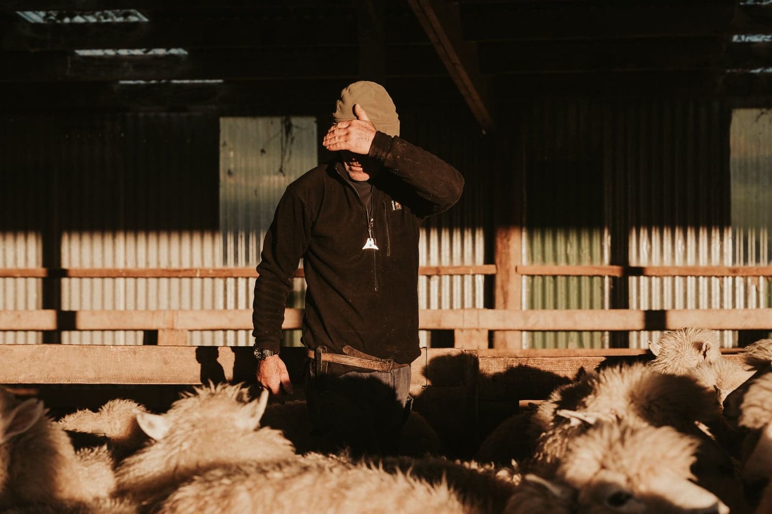 Bush Shirt Black, view: 5