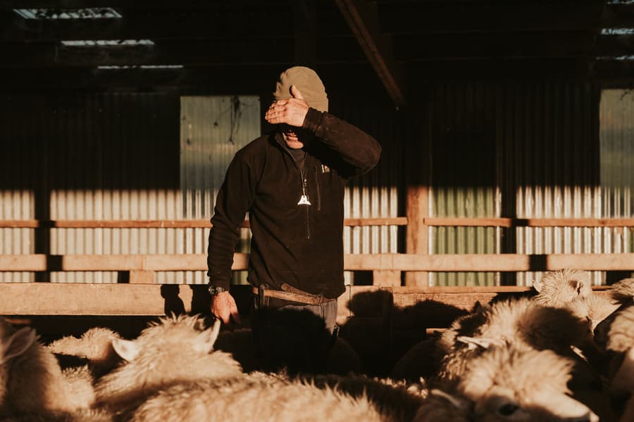 Bush Shirt Black, view: 5