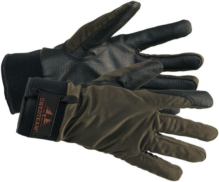 Ridge Dry M Glove Forest Green, view: 0