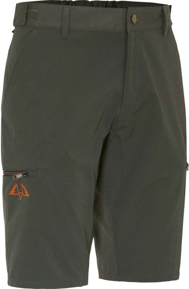 M's Lynx Light Shorts Green, view: 0